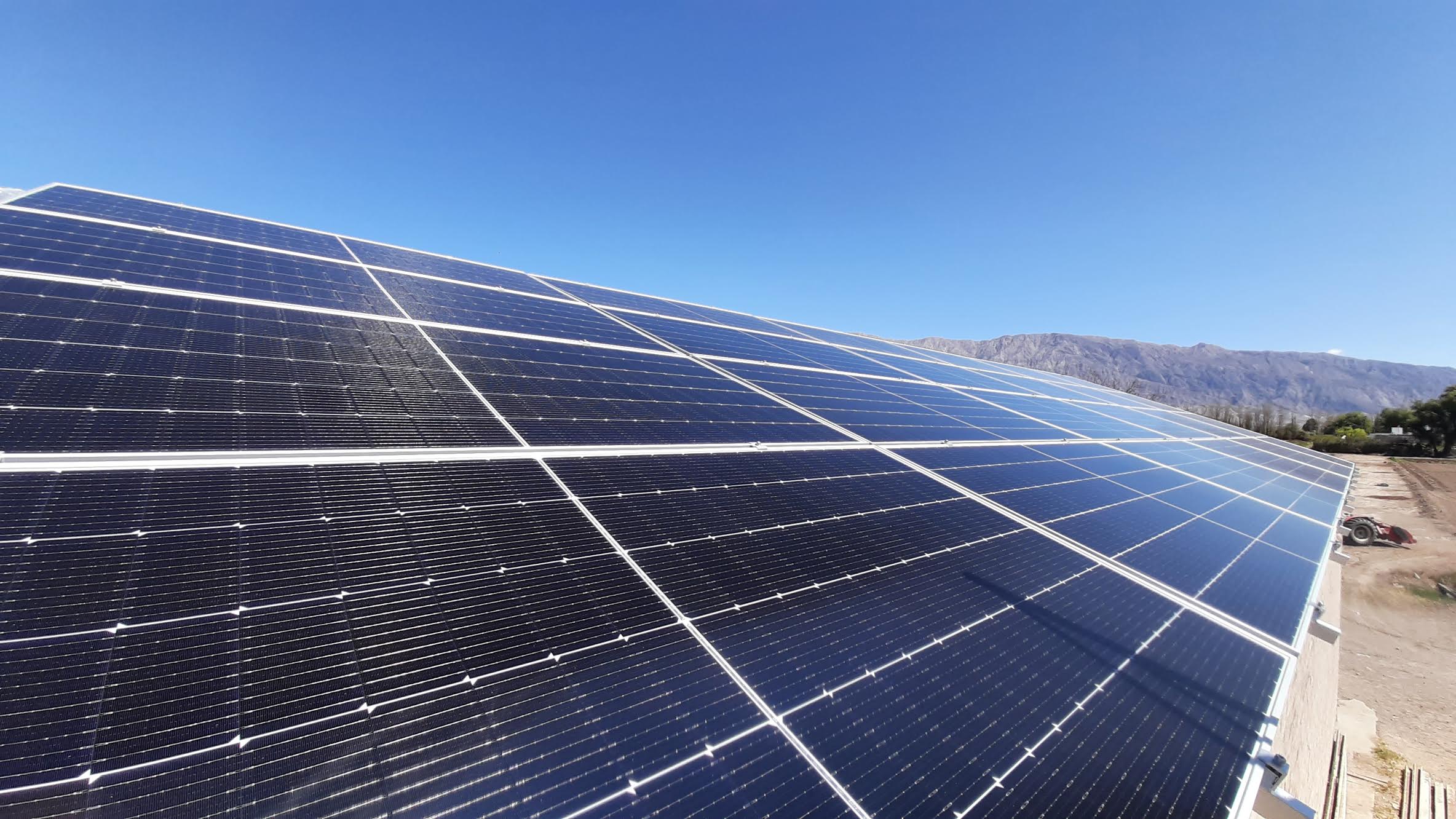 Finca Roberto Cordero 1